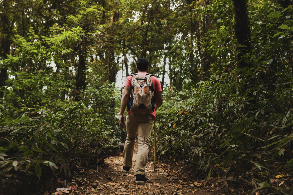 Zonas naturales cercanas a Bogotá ideales para hacer senderismo o descansar